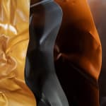 Fawn Rogers, Car Meat (Akhal Teke), 2023