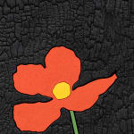 Laurent Pernot, Les rêves noirs – Fire poppies, 2025