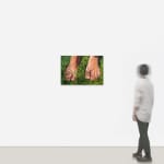 Fawn Rogers, The grass the grass, 2023