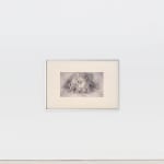 ZHANG Yunyao, Study in the head, 2021
