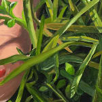 Fawn Rogers, The grass the grass, 2023