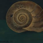 Gertrude Abercrombie, Shell (For Karl Priebe), 1957