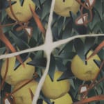 László von Dohnányi, A bunch of yellow apples, 2023