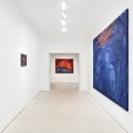 Kinga Bartis, A blind landscape, 2024