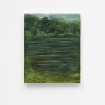Jamiu Agboke, Marshes, 2023