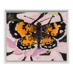 Claudia Keep, June 21st, 1:22 PM, Orange Butterﬂy, 2024