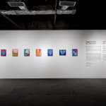 Fawn Rogers, Comet Tail #9, 2022