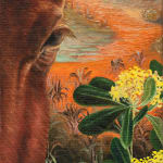 Ángela Ferrari, Sliver atmosphere: Not alone at nap time, 2025