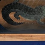 Alexandre Yang, The view from my window, 2025