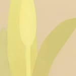 Manuel Stehli, Untitled (Tulip 3), 2023