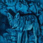 Dennis Miranda Zamorano, Coyote, 2023
