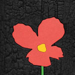 Laurent Pernot, Les rêves noirs – Fire poppies, 2025