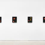 Laurent Pernot, Les rêves noirs – Fire poppies, 2025