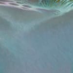 Shinya Azuma, Social destroyer, 2024