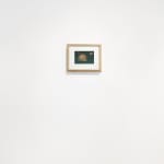 Gertrude Abercrombie, Shell (For Karl Priebe), 1957