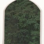 Xie Fan, Landscape · Alsophila Spinulosa, 2023