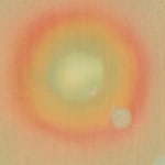 XIE Fan, Celestial Signs, 2019 - 2022