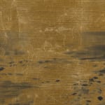 Xie Fan, Golden Sea, 2019 - 2022