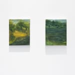 Jamiu Agboke, Weeping Willow, 2022
