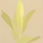 Manuel Stehli, Untitled (Tulip 3), 2023