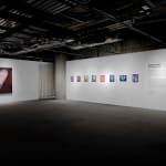 Fawn Rogers, Comet Tail #9, 2022