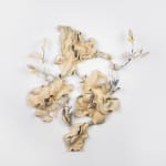 Alexandre Yang, Requiem pour les Indifférents, 2025