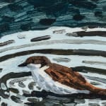 Claudia Keep, December 2nd, 11:16 AM, Bird Bath, 2024