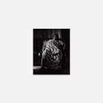 Isabelle Armand, Photography Grid 2, 2013 - 2018