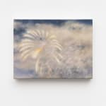 Fawn Rogers, Comet Tail #3, 2022