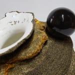 Kelly Akashi, Curled lifeform, 2018