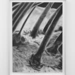 Juan Antonio Olivares, Trappist 4, 2019