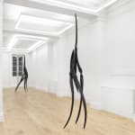 Eli Ping, Moult I, 2025