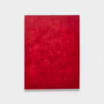 Mitchell Anderson, some desperate glory, 2015