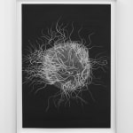 Juan Antonio Olivares, Trappist 4, 2019