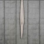 Eli Ping, Moult I, 2025
