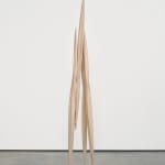 Eli Ping, Moult I, 2025