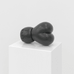 Juan Antonio Olivares, Trappist 4, 2019