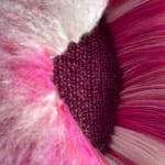 Signe Emdal, Rosa C, 2022