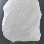 Cecilie Bendixen, Burned Water Images I, 2017 – 2019