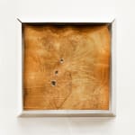 Laura Bergsøe, Wild Maple Silver Relief (America), 2024