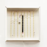 Laura Bergsøe, Wild Maple Silver Relief (America), 2024
