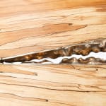 Laura Bergsøe, Wild Maple Silver Relief (America), 2024