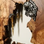 Laura Bergsøe, Wild Maple Silver Relief (America), 2024