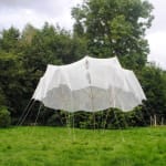 Cecilie Bendixen, Pine Crystal, 2024