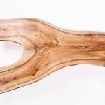 Laura Bergsøe, Wild Maple Silver Relief (America), 2024