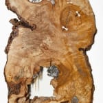 Laura Bergsøe, Wild Maple Silver Relief (America), 2024