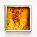Laura Bergsøe, Wild Maple Silver Relief (America), 2024