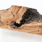 Laura Bergsøe, Wild Maple Silver Relief (America), 2024