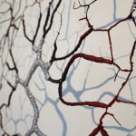 Gjertrud Hals, Synapse, 2023