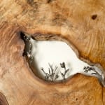 Laura Bergsøe, Wild Maple Silver Relief (America), 2024